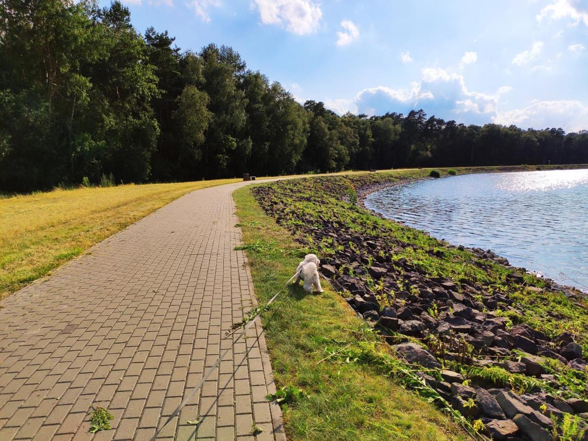 Miodowa Sadyba Domki Caloroczne Kluczbork Ligota Zamecka Extérieur photo