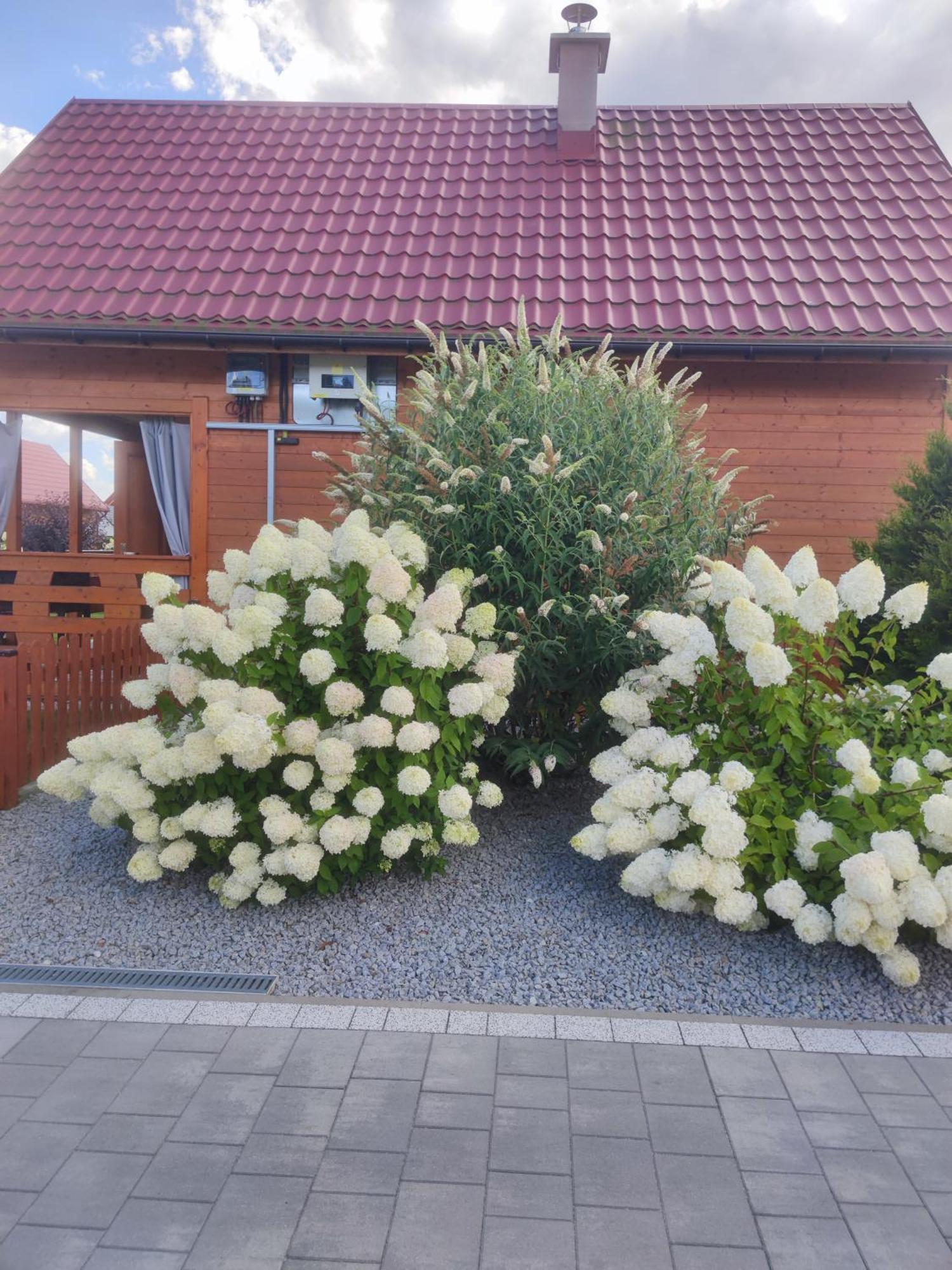 Miodowa Sadyba Domki Caloroczne Kluczbork Ligota Zamecka Extérieur photo